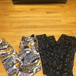 Bundle of 2 new lularoe one size leggings ones with converse others with flowers